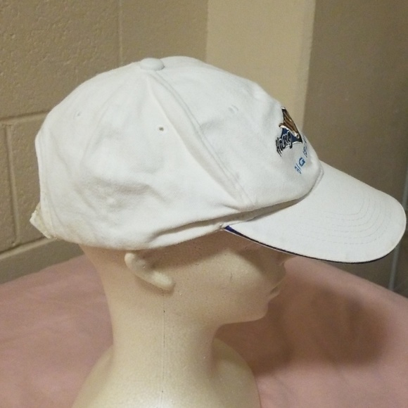 Cap - Picture 2 of 2